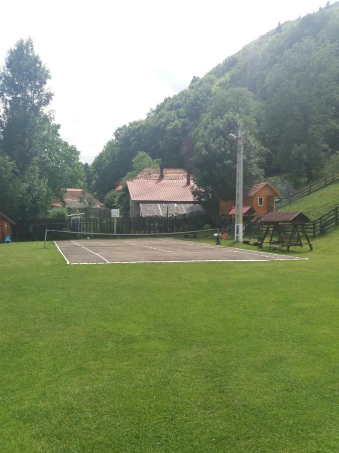 Pensiunea Vladut ブラン エクステリア 写真