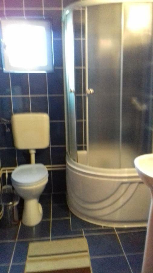 Pensiunea Vladut ブラン エクステリア 写真